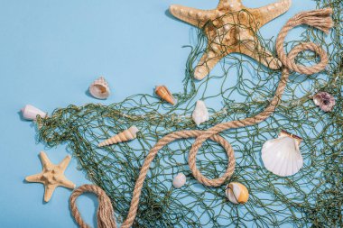 Deniz kabukları, deniz yıldızları ve balıkçı ağıyla donatılmış mavi bir arka plan. Çeşitli deniz hayvanları, tatil konsepti. Modaya uygun sert ışık, koyu gölge, düz uzanma, üst manzara