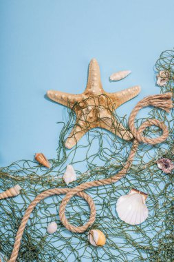 Deniz kabukları, deniz yıldızları ve balıkçı ağıyla donatılmış mavi bir arka plan. Çeşitli deniz hayvanları, tatil konsepti. Modaya uygun sert ışık, koyu gölge, düz uzanma, üst manzara