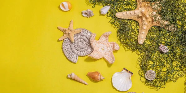 Yellow nautical background with sea shells, starfishes and fishing net. Assorted marine animals, vacation concept. Trendy hard light, dark shadow, flat lay, banner format