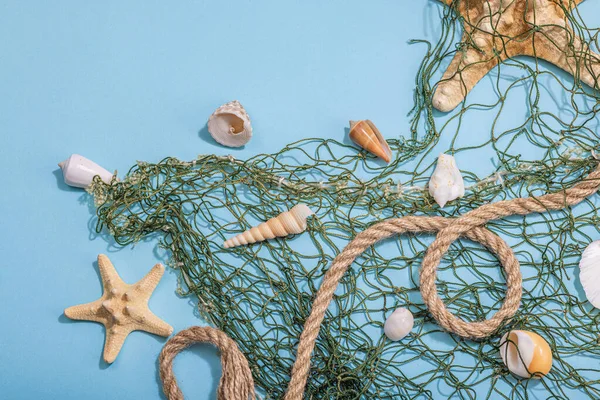 Blue nautical background with sea shells, starfishes and fishing net. Assorted marine animals, vacation concept. Trendy hard light, dark shadow, flat lay, top view