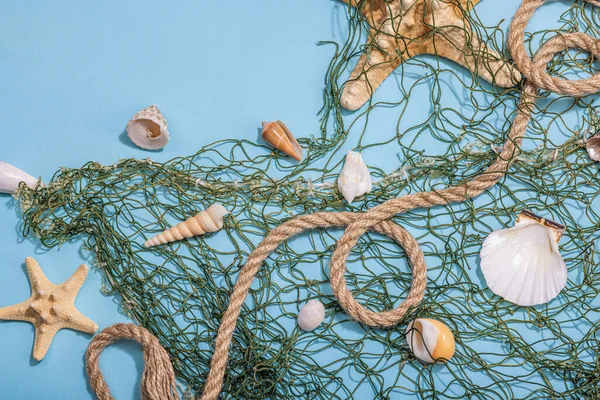 Blue nautical background with sea shells, starfishes and fishing net. Assorted marine animals, vacation concept. Trendy hard light, dark shadow, flat lay, top view
