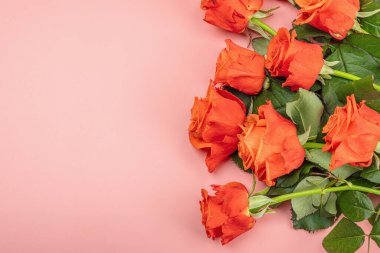 Pastel pembe arka planda bir buket taze parlak gül. Romantik hediye konsepti, tebrik kartı. Sevgililer Günü, Kadınlar ya da Anneler Günü. Düğün, yıldönümü, doğum günü, düzlük, üst manzara