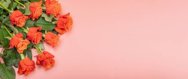 Pastel pembe arka planda bir buket taze parlak gül. Romantik hediye konsepti, tebrik kartı. Sevgililer Günü, Kadınlar ya da Anneler Günü. Düğün, yıldönümü, doğum günü, düz yatak, pankart biçimi