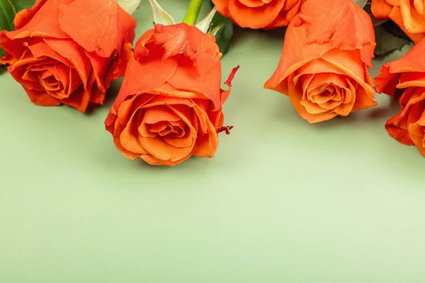 Букет Свіжих Яскравих Троянд Модно Зеленому Фоні Поняття Романтичного Подарунка — стокове фото
