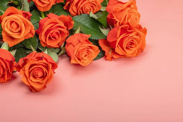 Букет Свіжих Яскравих Троянд Рожевому Фоні Поняття Романтичного Подарунка Листівка — стокове фото