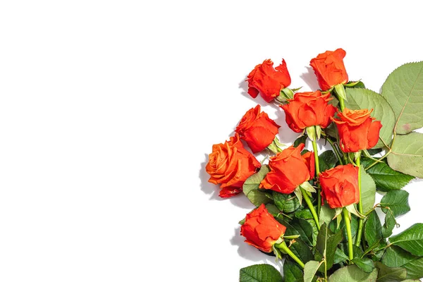 Ramo Rosas Frescas Brillantes Sobre Fondo Blanco Concepto Regalo Romántico — Foto de Stock