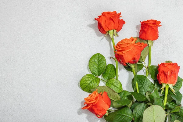 Букет Свіжих Яскравих Троянд Бетонному Тлі Легкого Каменю Поняття Романтичного — стокове фото