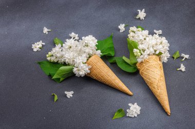 Koyu taş arkaplanda kremalı dondurma külahında beyaz leylak çiçekleri. Düz yatak, geleneksel bahar konsepti, kopyalama alanı