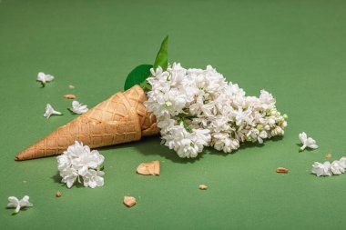 Beyaz leylak çiçekleri Savannah Green renk arka planında kremalı dondurma külahları. Düz konum, sert ışık, karanlık gölge, geleneksel bahar konsepti, kopyalama alanı