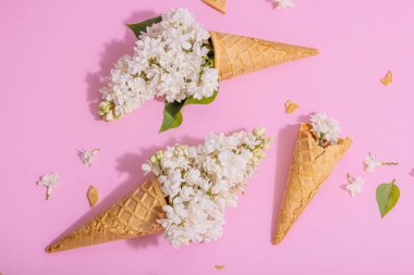 Beyaz leylak çiçekleri pembe arka planda kremalı dondurma külahları. Düz yatış, sert ışık, karanlık gölge, geleneksel bahar konsepti, üst görünüm
