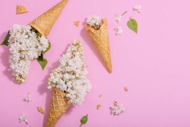 Beyaz leylak çiçekleri pembe arka planda kremalı dondurma külahları. Düz yatış, sert ışık, karanlık gölge, geleneksel bahar konsepti, üst görünüm