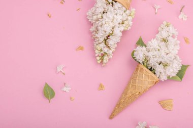 Beyaz leylak çiçekleri pembe arka planda kremalı dondurma külahları. Düz yatak, geleneksel bahar konsepti, üst manzara
