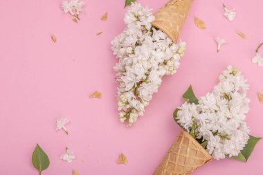 Beyaz leylak çiçekleri pembe arka planda kremalı dondurma külahları. Düz yatak, geleneksel bahar konsepti, üst manzara