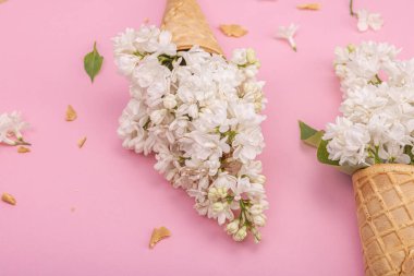 Beyaz leylak çiçekleri pembe arka planda kremalı dondurma külahları. Düz yatak, geleneksel bahar konsepti, kopyalama alanı