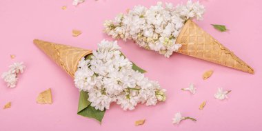 Beyaz leylak çiçekleri pembe arka planda kremalı dondurma külahları. Düz konum, geleneksel bahar konsepti, afiş biçimi