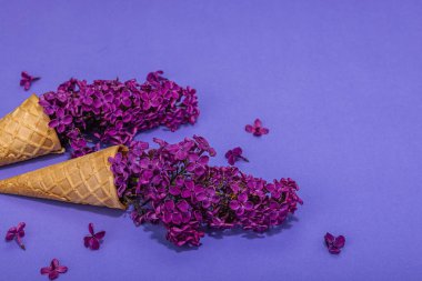 Mor arka planda mor leylak çiçekleri ve kremalı dondurma. Düz yatak, geleneksel bahar konsepti, tebrik kartı, sert ışık, koyu gölge, kopyalama alanı