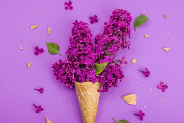 Mor arka planda mor leylak çiçekleri ve kremalı dondurma. Düz yatak, geleneksel bahar konsepti, tebrik kartı, sert ışık, koyu gölge, üst manzara