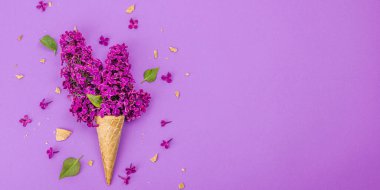 Mor arka planda mor leylak çiçekleri ve kremalı dondurma. Düz yatak, geleneksel bahar konsepti, tebrik kartı, sert ışık, koyu gölge, pankart biçimi