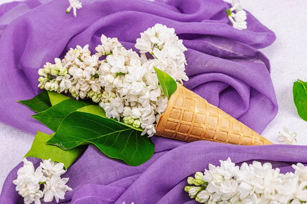 라일락 아이스크림 콘크리트 배경에 놓는다 보라색 전통적 컨셉트 — 스톡 사진