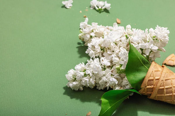 Białe Kwiaty Lilii Stożki Lodów Gofrowych Tle Savannah Green Kolor — Zdjęcie stockowe