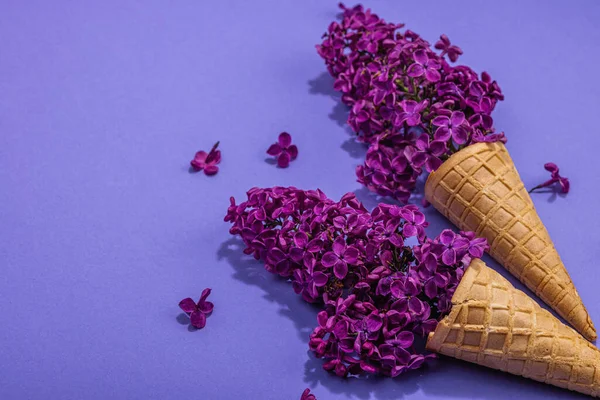 Flores Lilás Violeta Cones Sorvete Waffle Fundo Roxo Colocação Plana — Fotografia de Stock