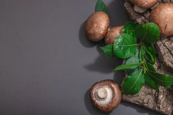 stock image Royal champignons on oak tree bark with fresh green bay leaves. Healthy ingredient for cooking vegan food. Hard light, dark shadow, selective focus, black stone concrete background, top view