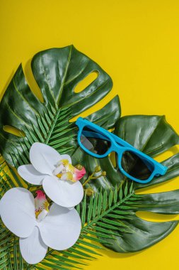 Yaz tatili kavramı. Güneş gözlüğü, deniz dekoru, palmiye ve canavar yaprakları, orkide çiçeği. Parlak sarı arkaplan, sert ışık, koyu gölge, düz yer, üst manzara