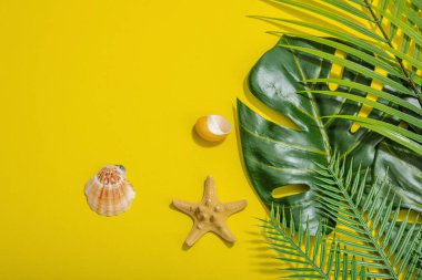 Yaz tatili kavramı. Deniz dekoru, avuç içi ve canavar yaprakları. Parlak sarı arkaplan, sert ışık, koyu gölge, düz yer, üst manzara