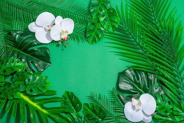 暑假的概念 棕榈和牡丹叶兰花热带绿色背景 顶视图 — 图库照片