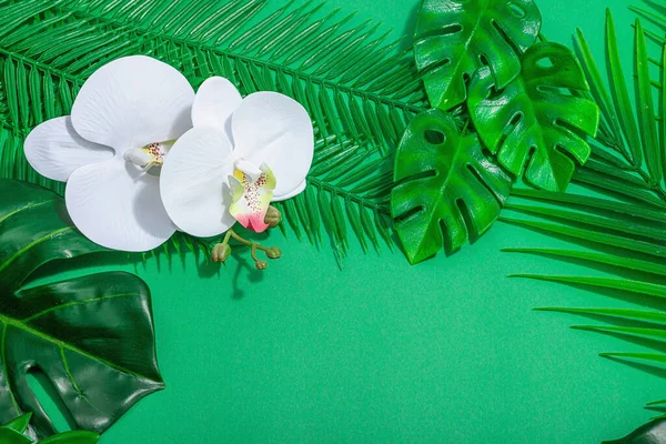 stock image Summer vacation concept. Palm and monstera leaves, orchid flowers. Tropical green background, hard light, dark shadow, flat lay, top view