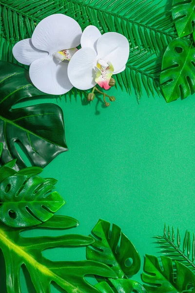 Concepto Vacaciones Verano Palmera Hojas Monstera Flores Orquídea Fondo Verde —  Fotos de Stock