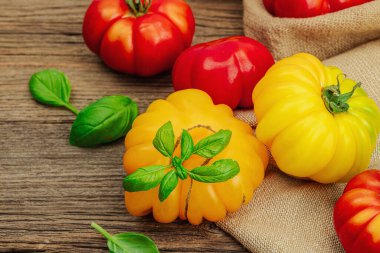 Renkli aile yadigarı domates hasadı. Taze fesleğen yapraklarıyla olgunlaşmış sebzeler. Eski tahta arka plan, düz yatak, yakın çekim.