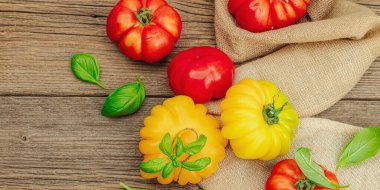 Renkli aile yadigarı domates hasadı. Taze fesleğen yapraklarıyla olgunlaşmış sebzeler. Eski tahta zemin, düz yatış, pankart biçimi