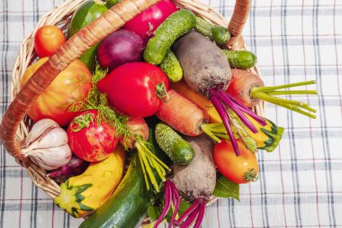 Hasat sepetindeki sonbahar sebzeleri. Kentsel tarım ürünleri, yemek pişirmek için sağlıklı malzemeler. Masanın üstündeki kareli masa örtüsü, üst görünüm