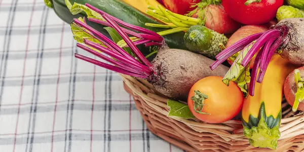 Harvest of autumn vegetables in a wicker basket. Urban farm produce, healthy ingredients for cooking food. Checkered tablecloth on the table, banner format