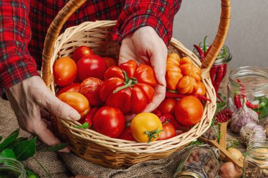Korunmuş mevsim sebze konsepti. Domates, biber, yeşillik, soğan ve sarımsak hasadı. Kadınların elleri konserve yiyecekler, yemek pişirme süreci için malzeme hazırlar. Sağlıklı tarifler, ev yemekleri, kopyalama alanı