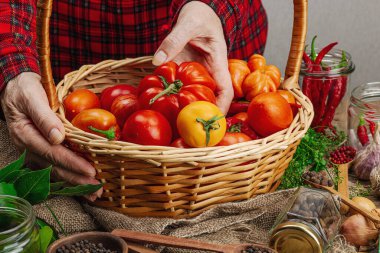 Korunmuş mevsim sebze konsepti. Domates, biber, yeşillik, soğan ve sarımsak hasadı. Kadınların elleri konserve yiyecekler, yemek pişirme süreci için malzeme hazırlar. Sağlıklı tarifler, ev yemekleri, kopyalama alanı