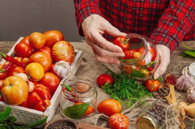 Korunmuş mevsim sebze konsepti. Domates, biber, yeşillik, soğan ve sarımsak hasadı. Kadınların elleri konserve yiyecekler, yemek pişirme süreci için malzeme hazırlar. Sağlıklı tarifler, ev yemekleri, kopyalama alanı