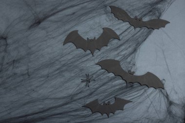 Komik cadılar bayramı geçmişi. Korkunç örümcek ağı, geleneksel düşen yarasalar ve örümcekler. Şenlikli düz yatak, klasik sonbahar tarzı, üst görünüm