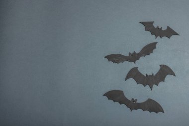 Komik cadılar bayramı geçmişi. Şirin siyah yarasalar. Geleneksel bayram sembolü, düz yatak, klasik sonbahar tarzı, üst görünüm