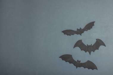 Komik cadılar bayramı geçmişi. Şirin siyah yarasalar. Geleneksel bayram sembolü, düz yatak, klasik sonbahar tarzı, üst görünüm