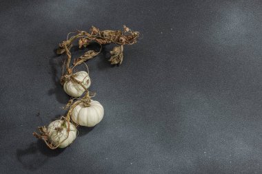 Karanlık taş arka planda sonbahar kompozisyonu. Süslü balkabağı bebek balkabağı türü, modaya uygun sert ışık, koyu gölge, düz yer, kopyalama alanı