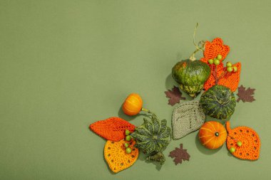 Sonbahar kompozisyonu. Tığ işi yapraklar, balkabakları, böğürtlenler, el yapımı, sonbahar hobisi. Geleneksel dekorasyon, örgü. Savannah yeşil arkaplan, üst görünüm