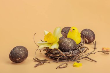Paskalya yumurtaları, ahşap tavşanlar ve tavuk ve narsist çiçekli kuş yuvası. Kutlama konsepti, tebrik kartı, düz yatak, pastel kayısı arka plan, kopyalama alanı