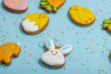 Geleneksel Paskalya kurabiyeleri, yenilebilir şenlik dekorları. Ev yapımı pişirme konsepti, tatlı tatlılar. Tebrik kartı, mavi arkaplan, düz yatak, yakın çekim