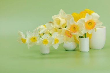 Çiçek açan nergislerle süslü bahar kompozisyonu. Geleneksel mevsimlik bitki örtüsü, tebrik kartı. Pastel yeşil arkaplan, kopyalama alanı