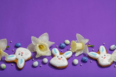 Geleneksel Paskalya kurabiyeleri, yenilebilir şenlik dekorları. Ev yapımı pişirme konsepti, tatlı tatlılar. Tebrik kartı, mor arkaplan, düz yatış, kopyalama alanı