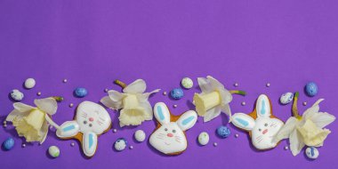 Geleneksel Paskalya kurabiyeleri, yenilebilir şenlik dekorları. Ev yapımı pişirme konsepti, tatlı tatlılar. Tebrik kartı, mor arkaplan, düz yatış, pankart biçimi