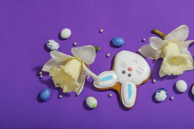 Geleneksel Paskalya kurabiyeleri, yenilebilir şenlik dekorları. Ev yapımı pişirme konsepti, tatlı tatlılar. Tebrik kartı, mor arkaplan, düz yatak, üst görünüm