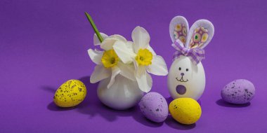 Çiçekli nergisler, paskalya yumurtaları ve mor arka planda tavşanlar. Mutlu bayramlar, tebrik kartı, geleneksel festival kompozisyonu, afiş biçimi